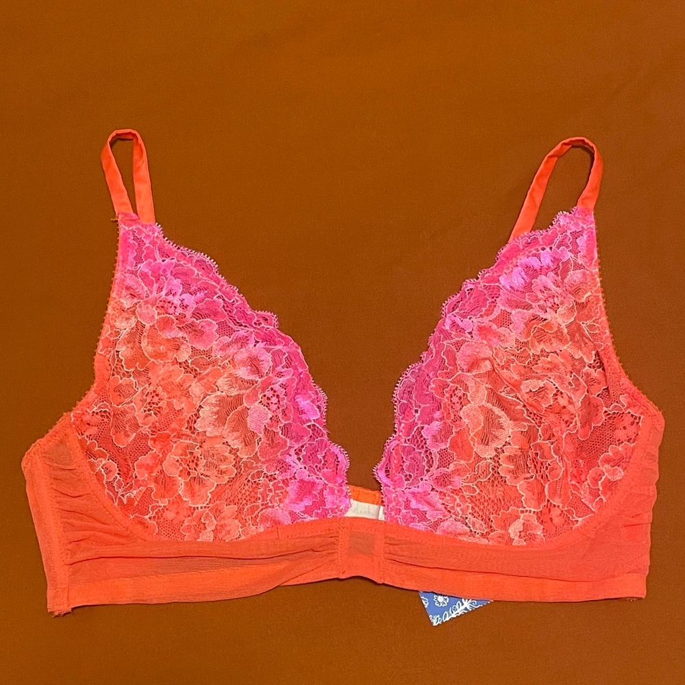 Free People Ombré Lace Bra